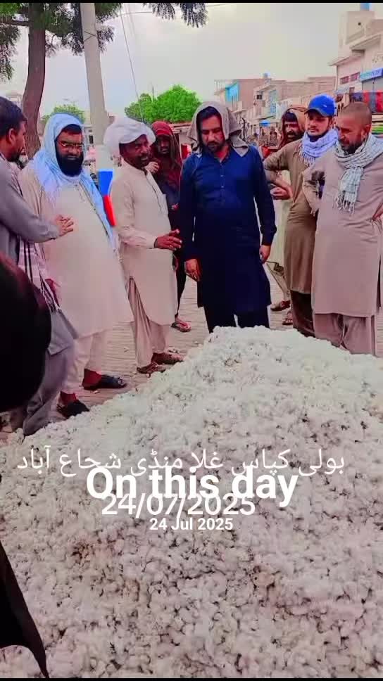 @💚Jamshed Magsi51214