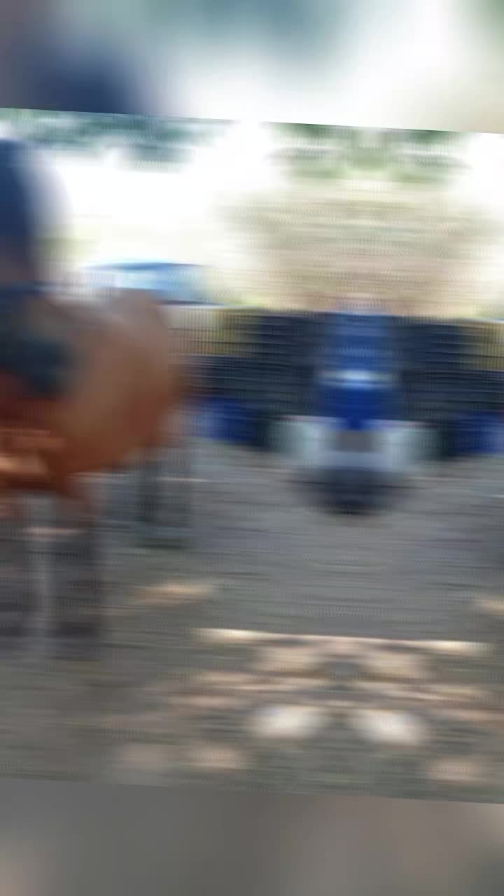 @dgz_65