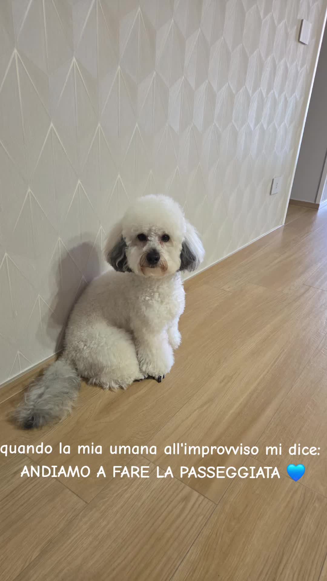 @Elia Rosa