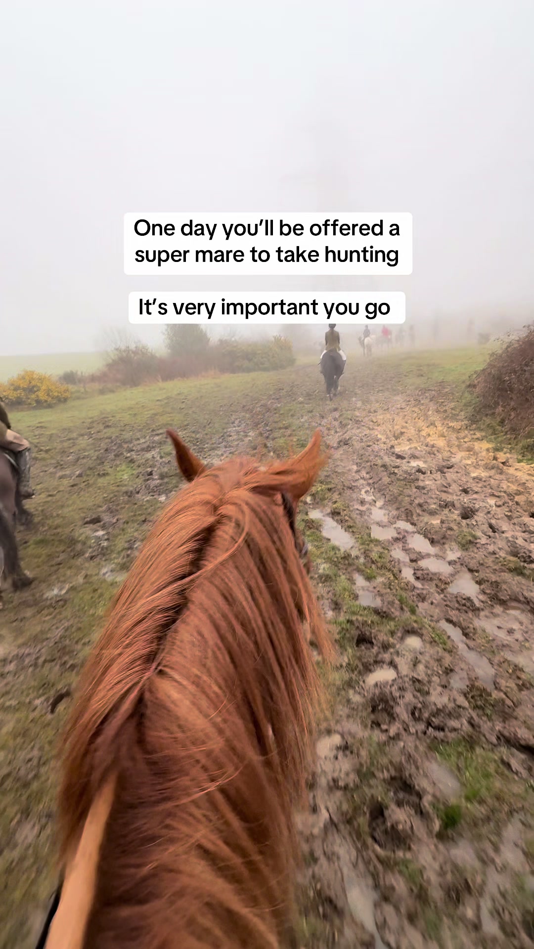 @Kira Simpson