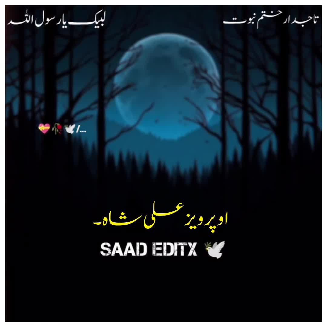 @𝗦𝗮𝗮𝗱 𝗘𝗱𝗶𝘁𝘅 🕊️