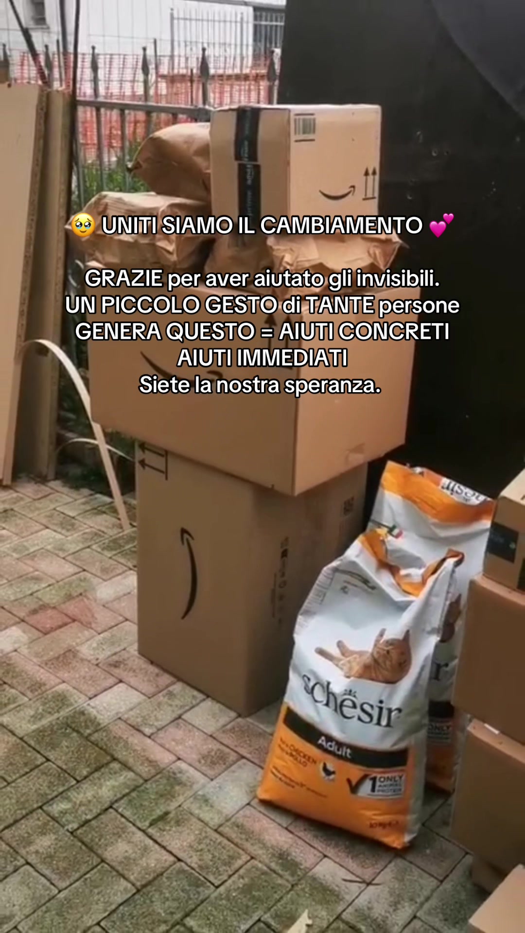 @chiaratarquini