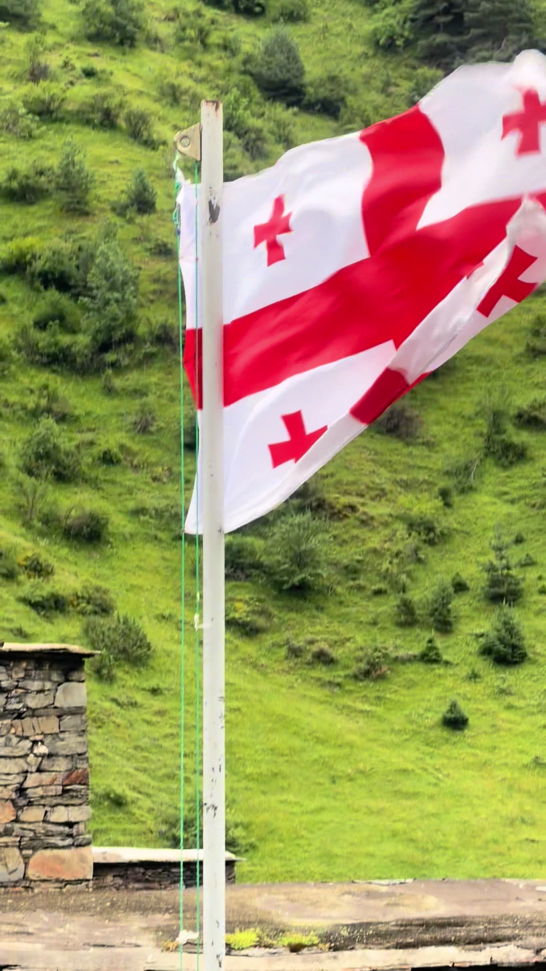 @elena_ronite