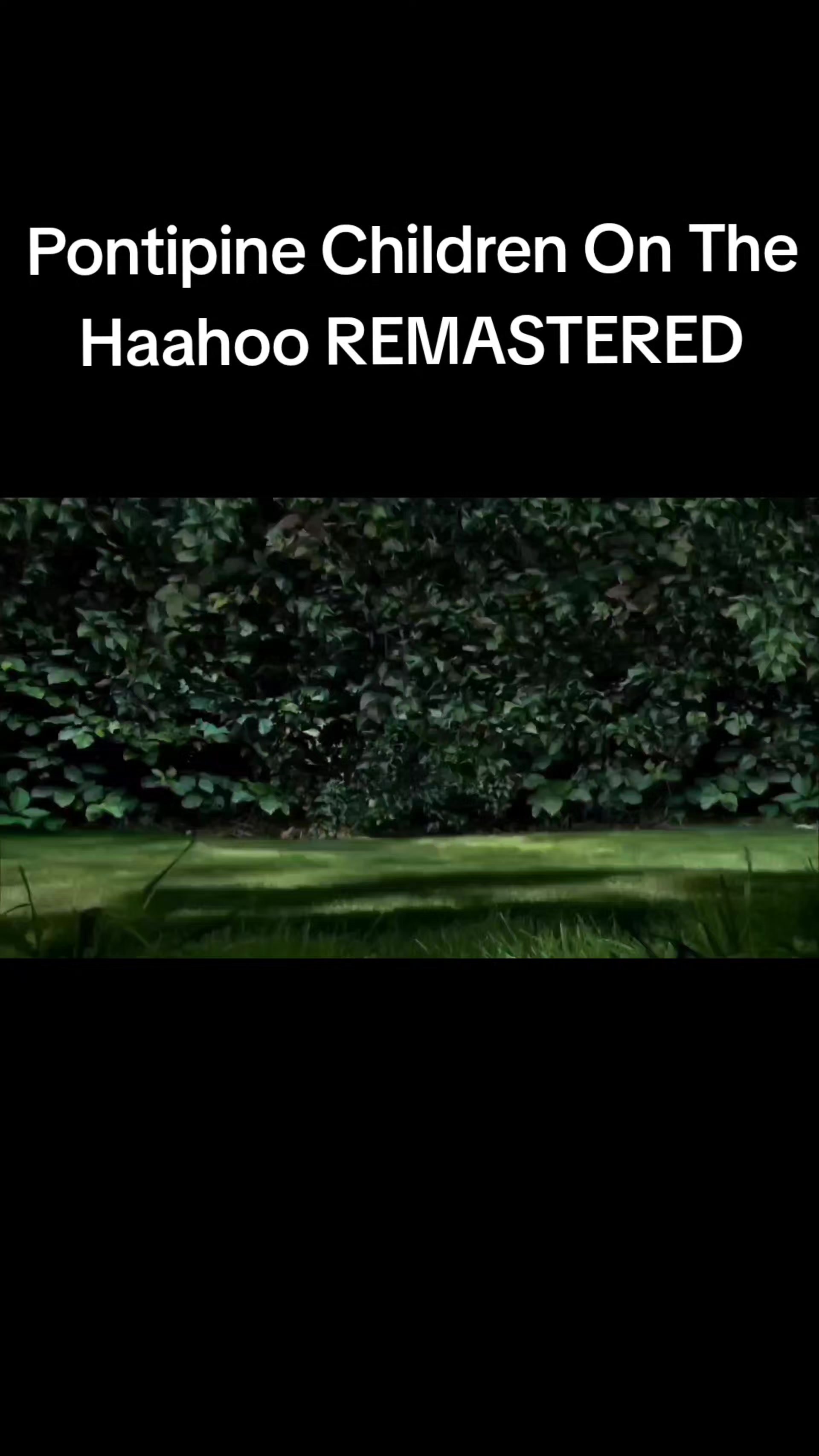 @Haahoo Person #Haahoos4Life