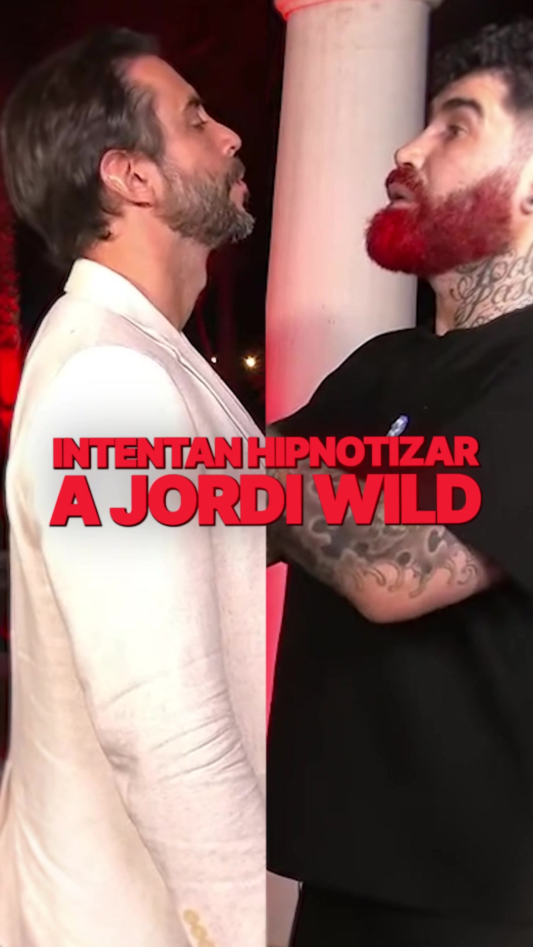 @Jordi Wild
