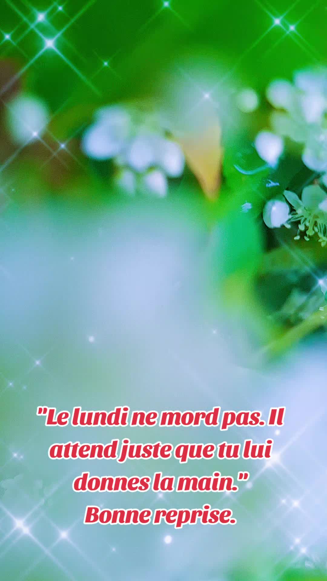 @luffy 974