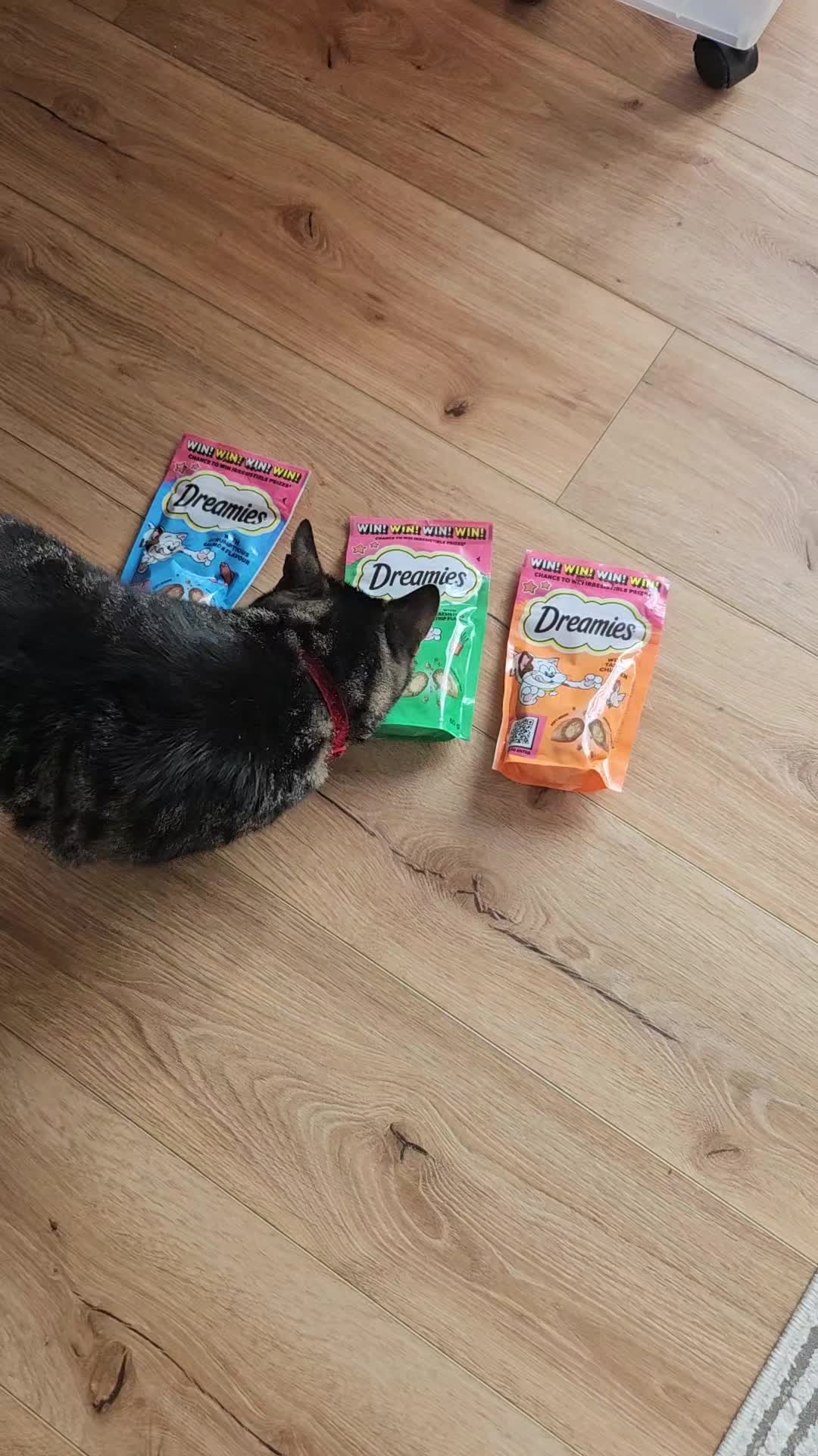 @CatmanScoop