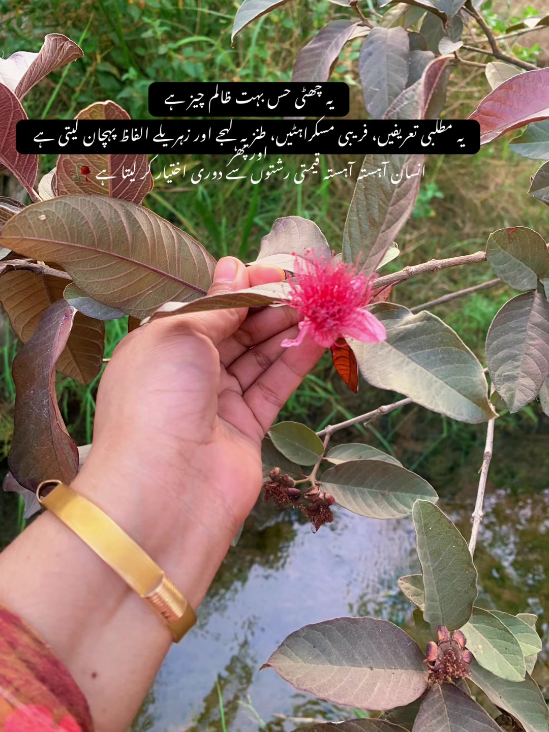 @baazmarealm