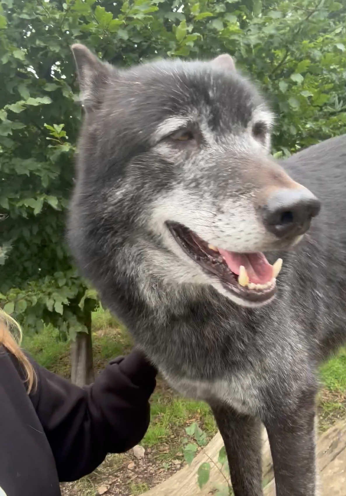 @Wolves of the Lakes