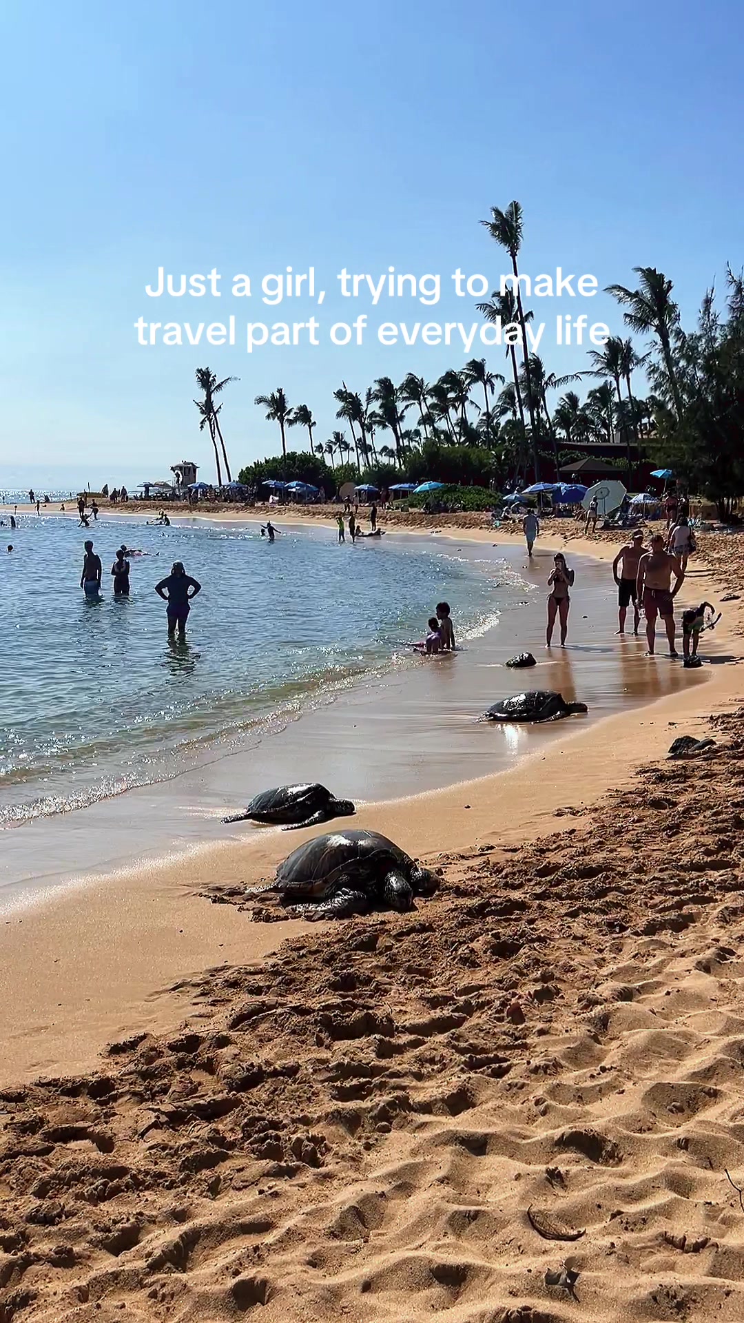 @mollymurraytravels