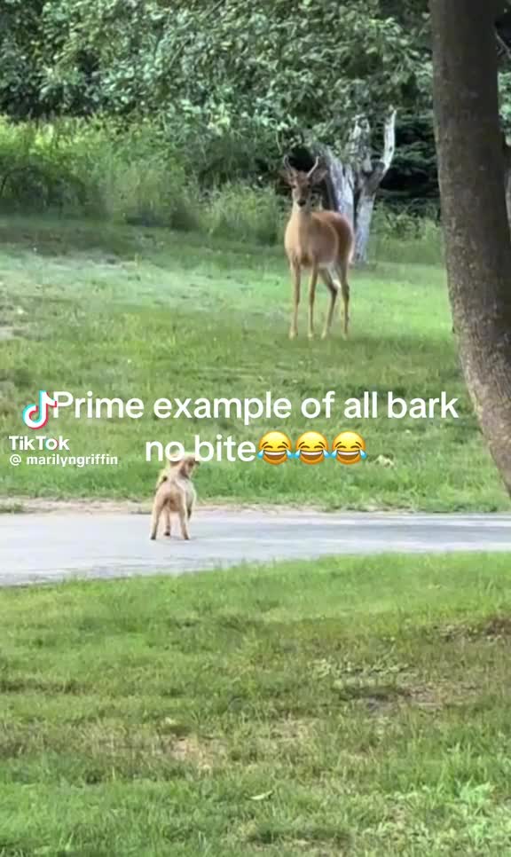 @bansky007