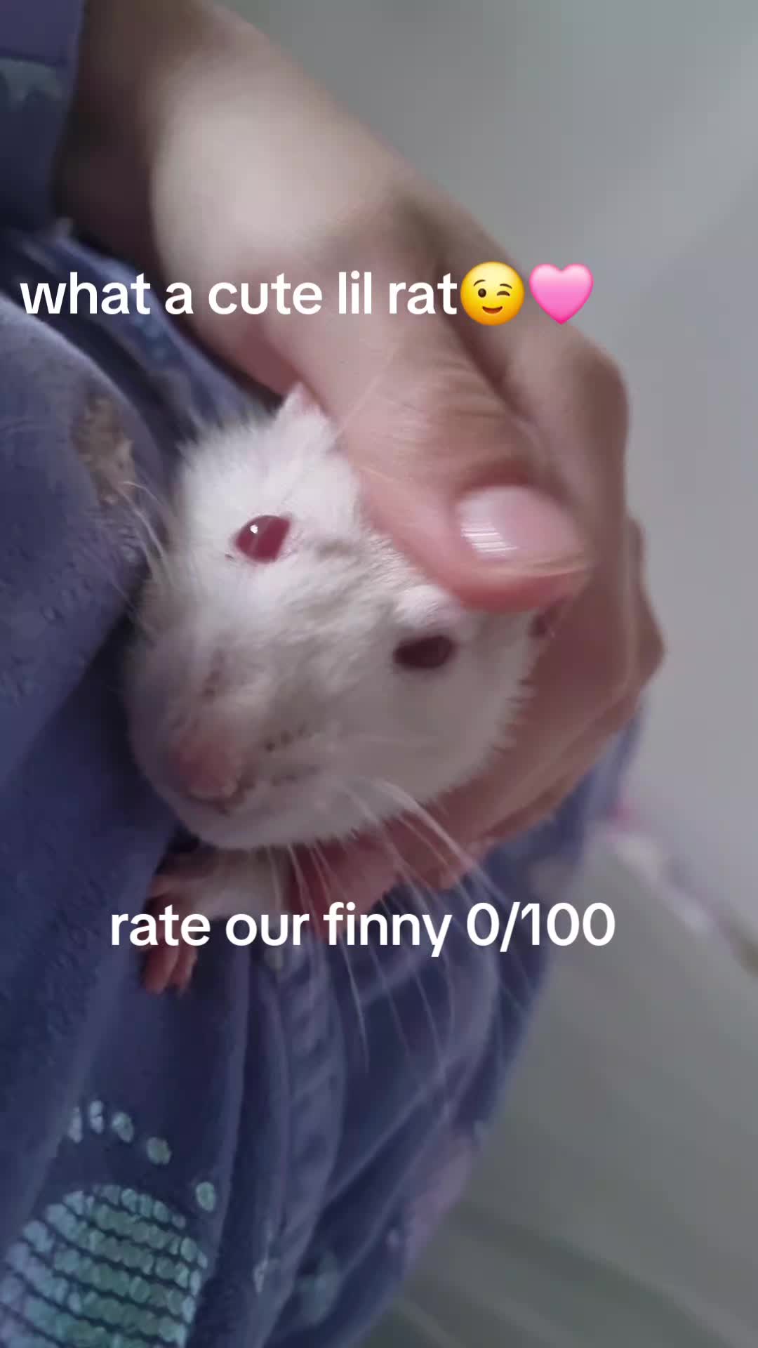 @Tiktokerrr