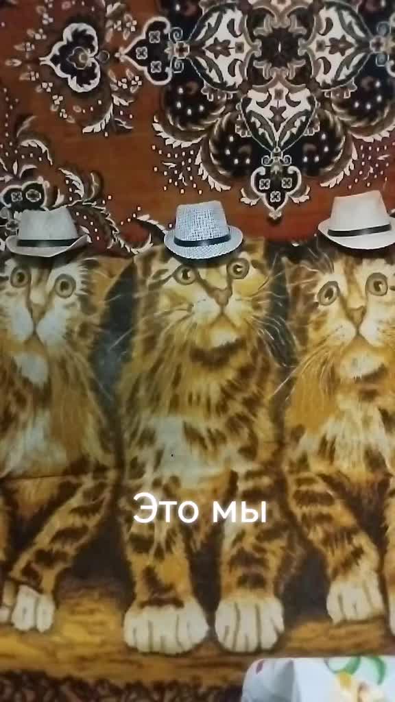 @Станислав Владимирович