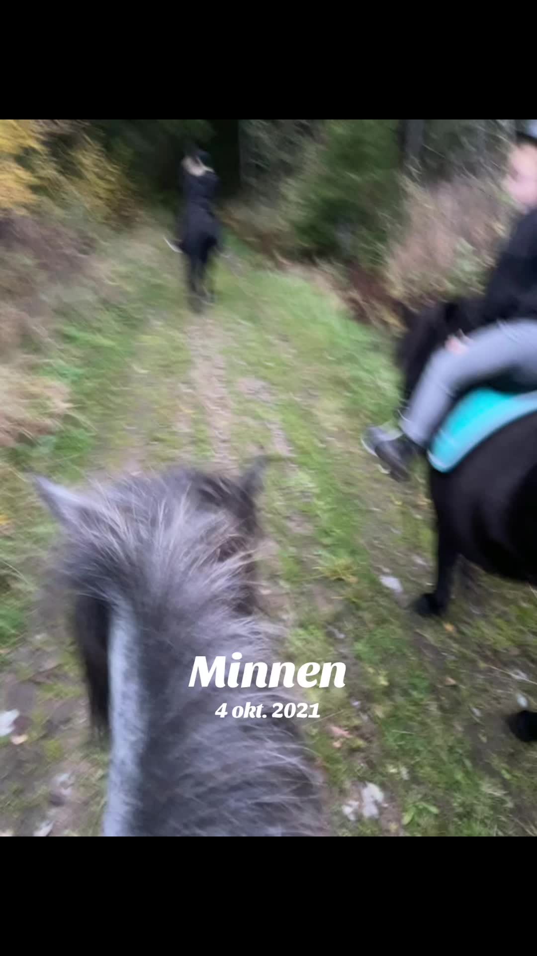 @&Aring;sa Sandstrom