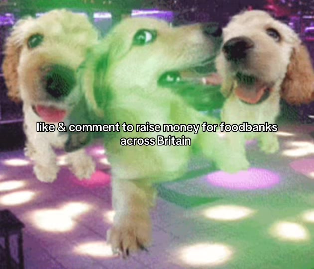 @Foodbankfellas