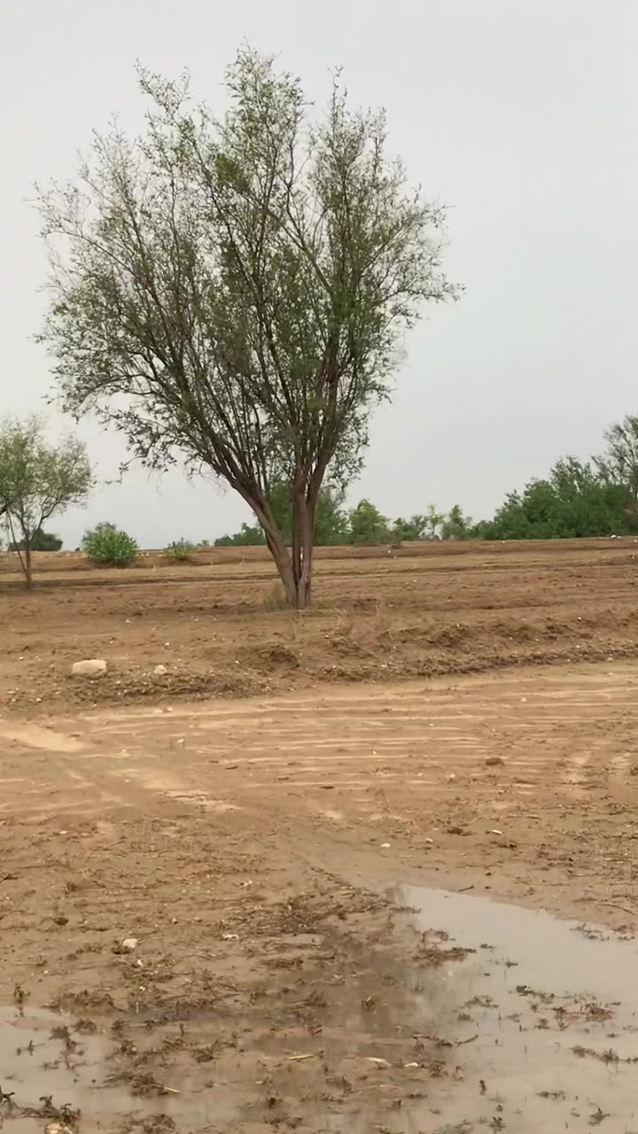 @شاہین گروپ آلہ🤟🔥F-16