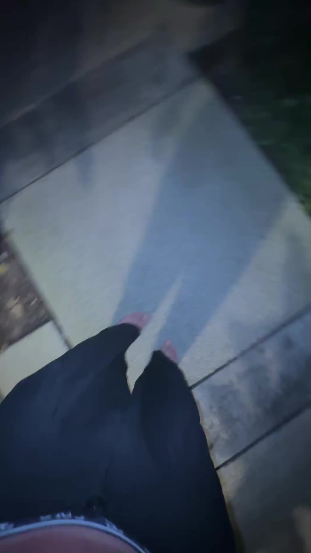 @🦇