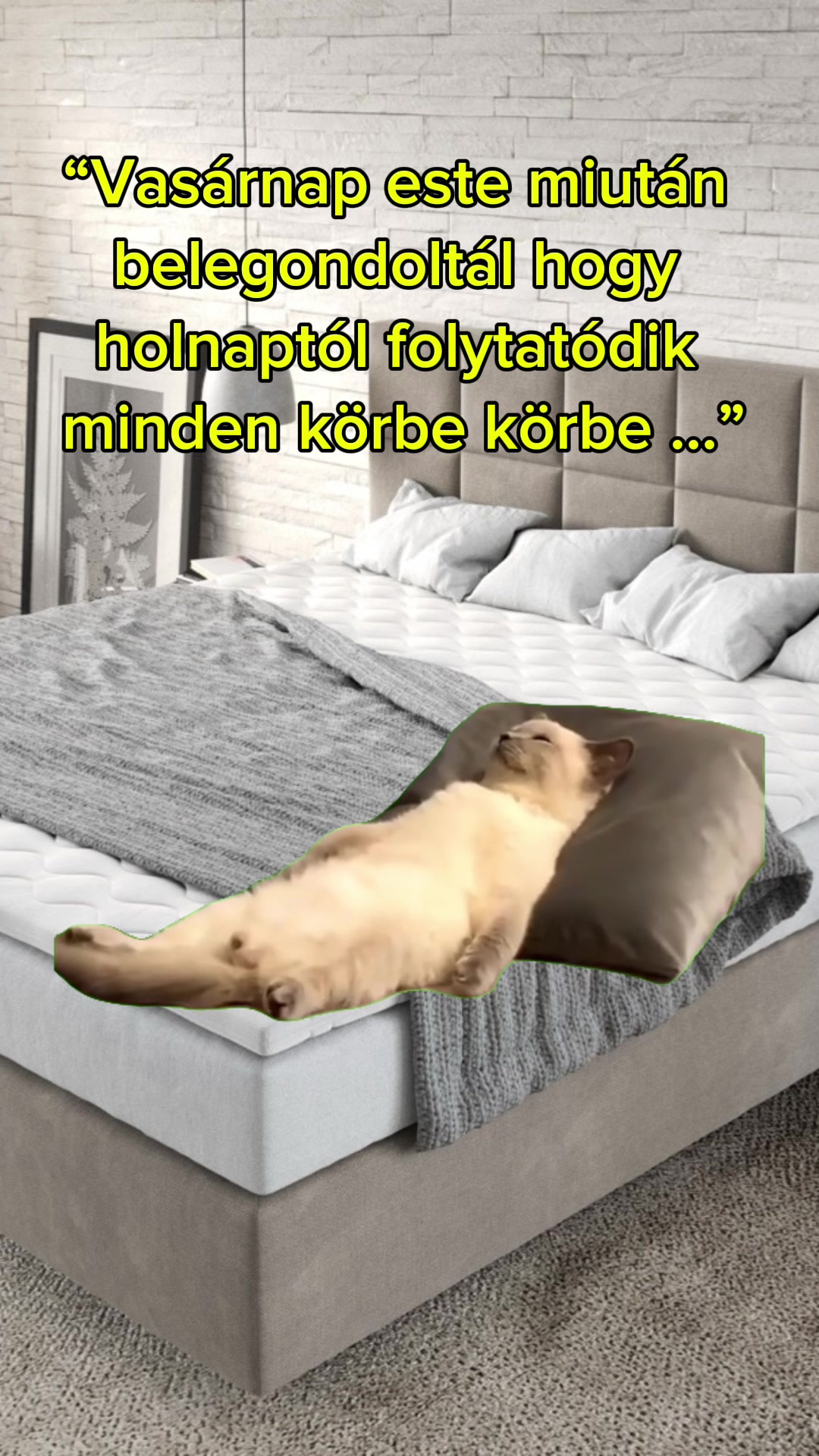 @Assi