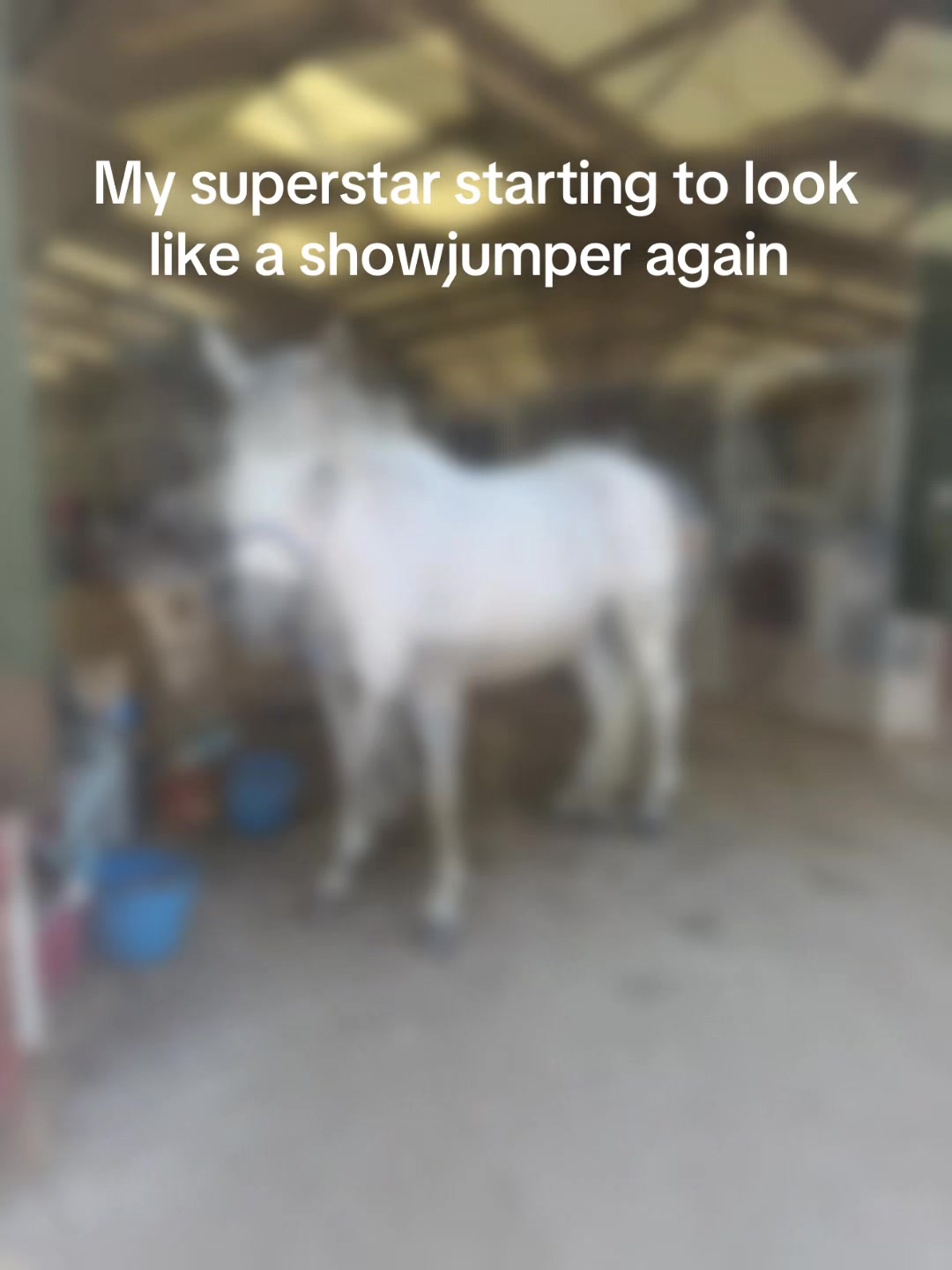 @MyAutisticLife