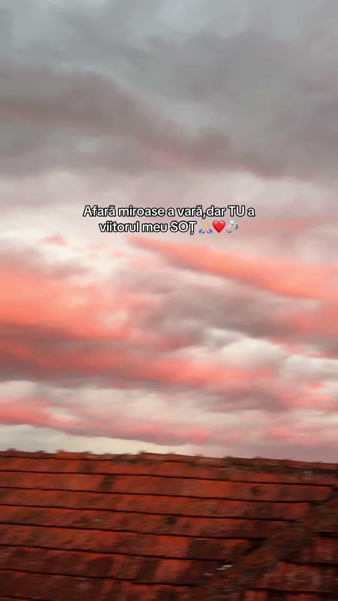 @αмαℓια