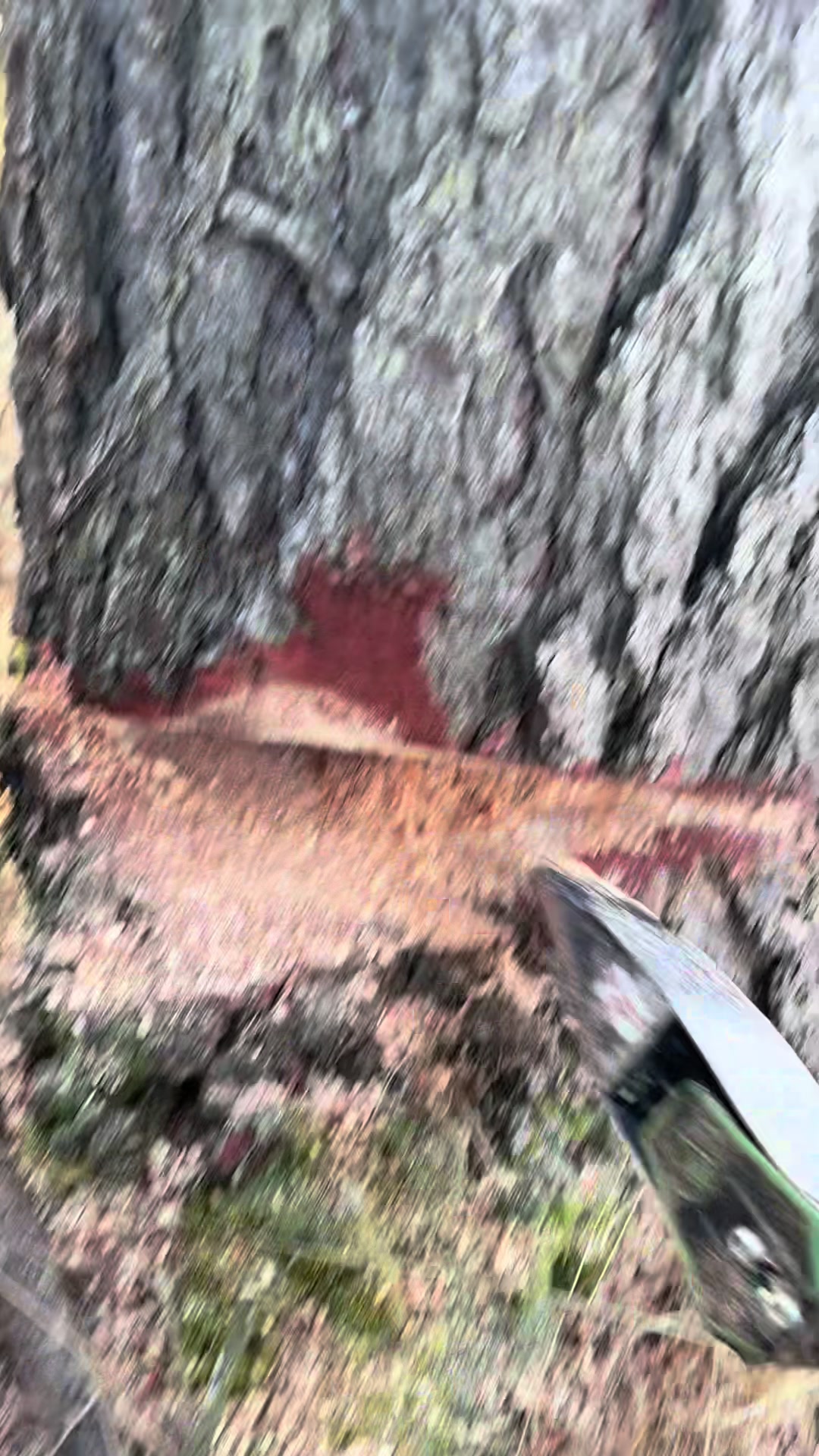 @Agrarius 🌲🇦🇹