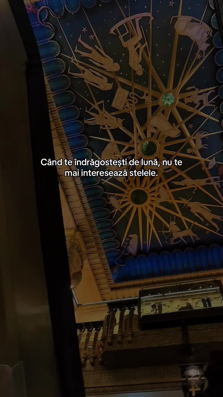 @Elisa A🥥