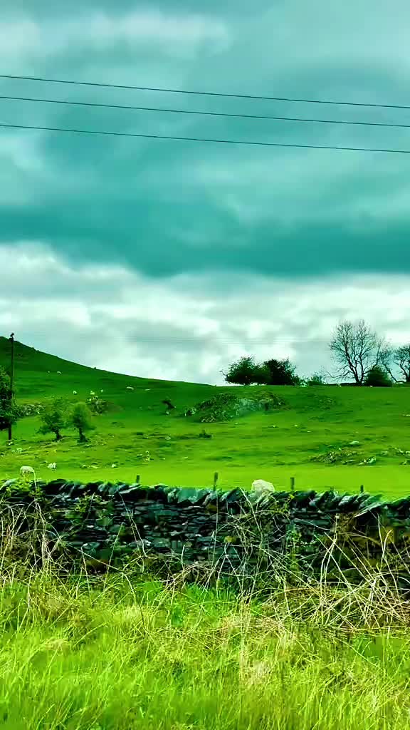 @Nature lover