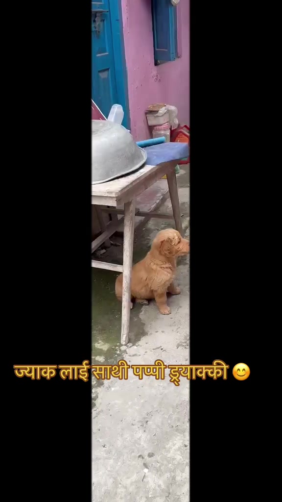 @Narayan Thapaliya