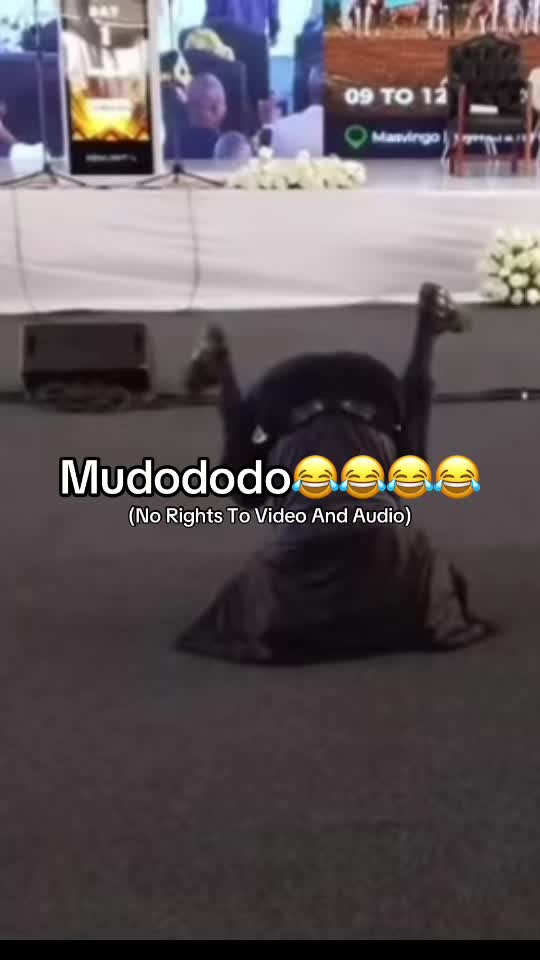 @Madzongo