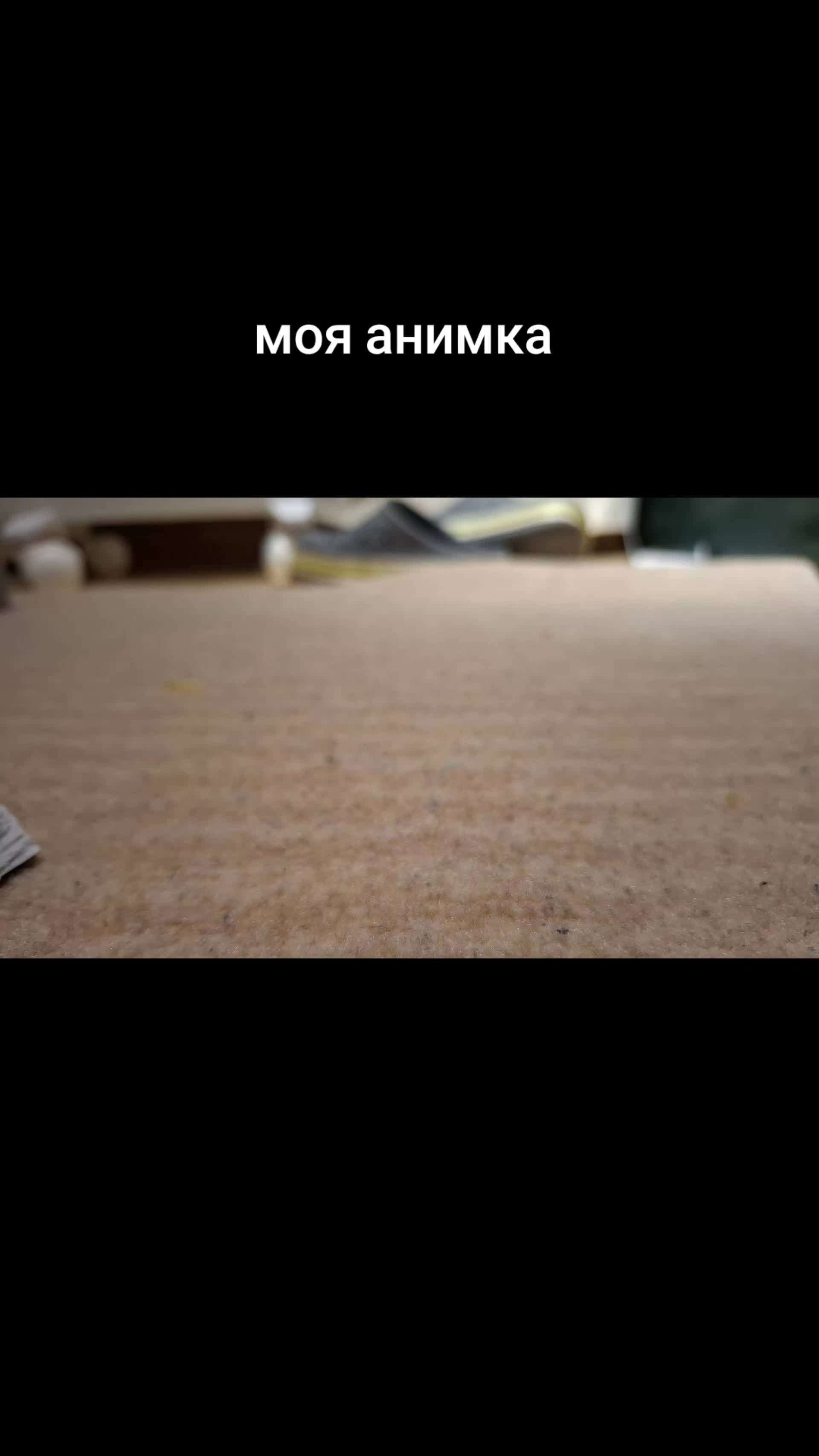 @хомяк | гыф гыф