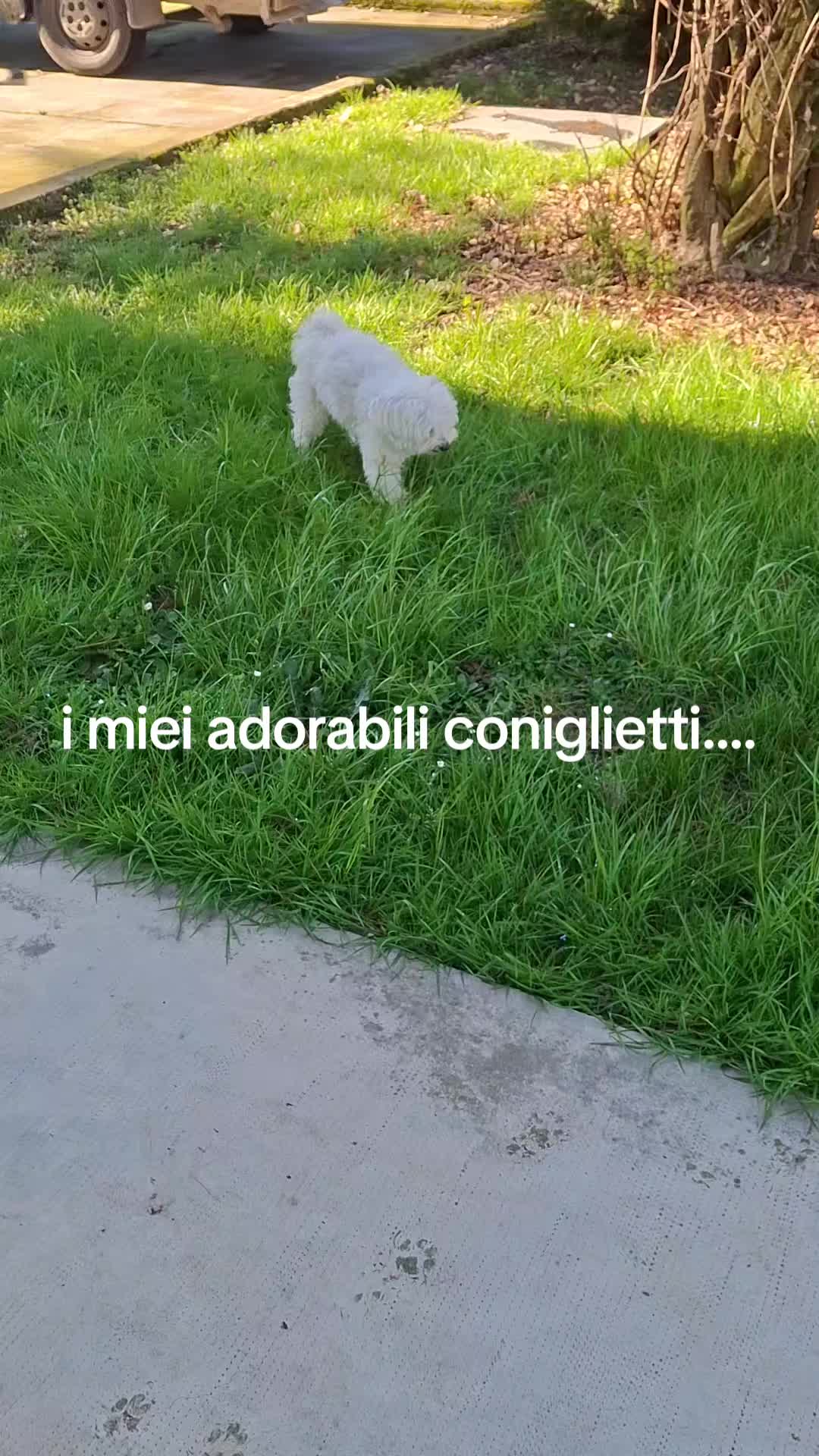 @Luigi Castaldo