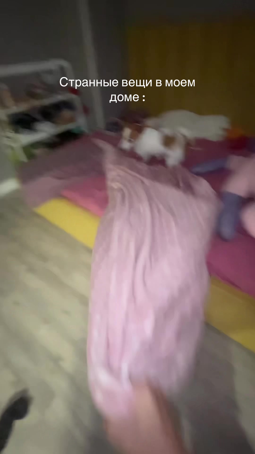 @Toryy339
