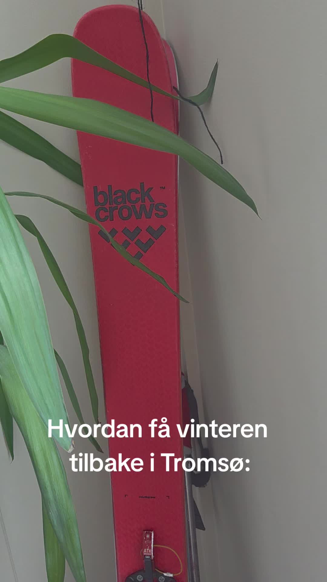 @Ingrid Knudsen