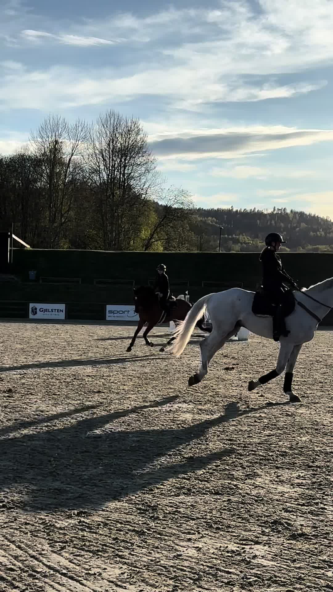 @hedda.equi