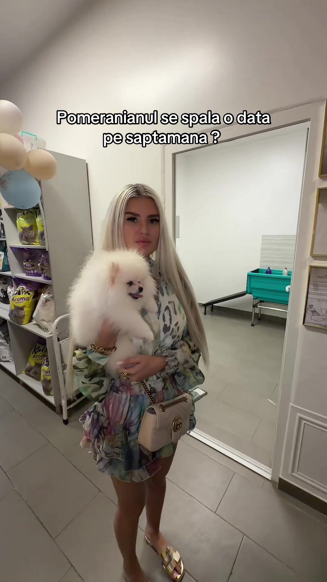 @Andreea Bld