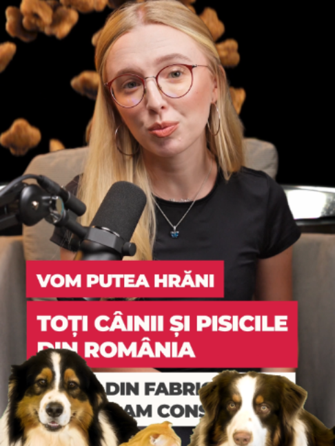 @Romania Fast-Forward