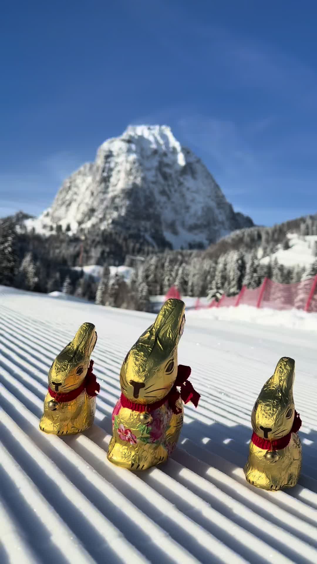 @Brunni-Alpthal