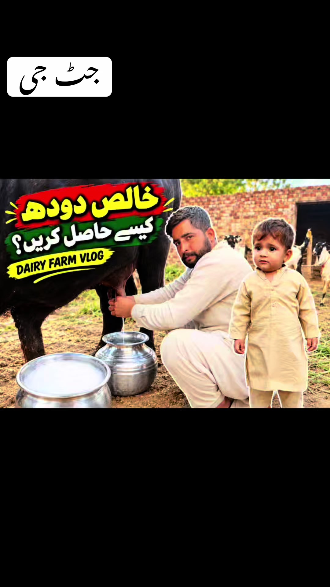 @پینڈو بوائز 378