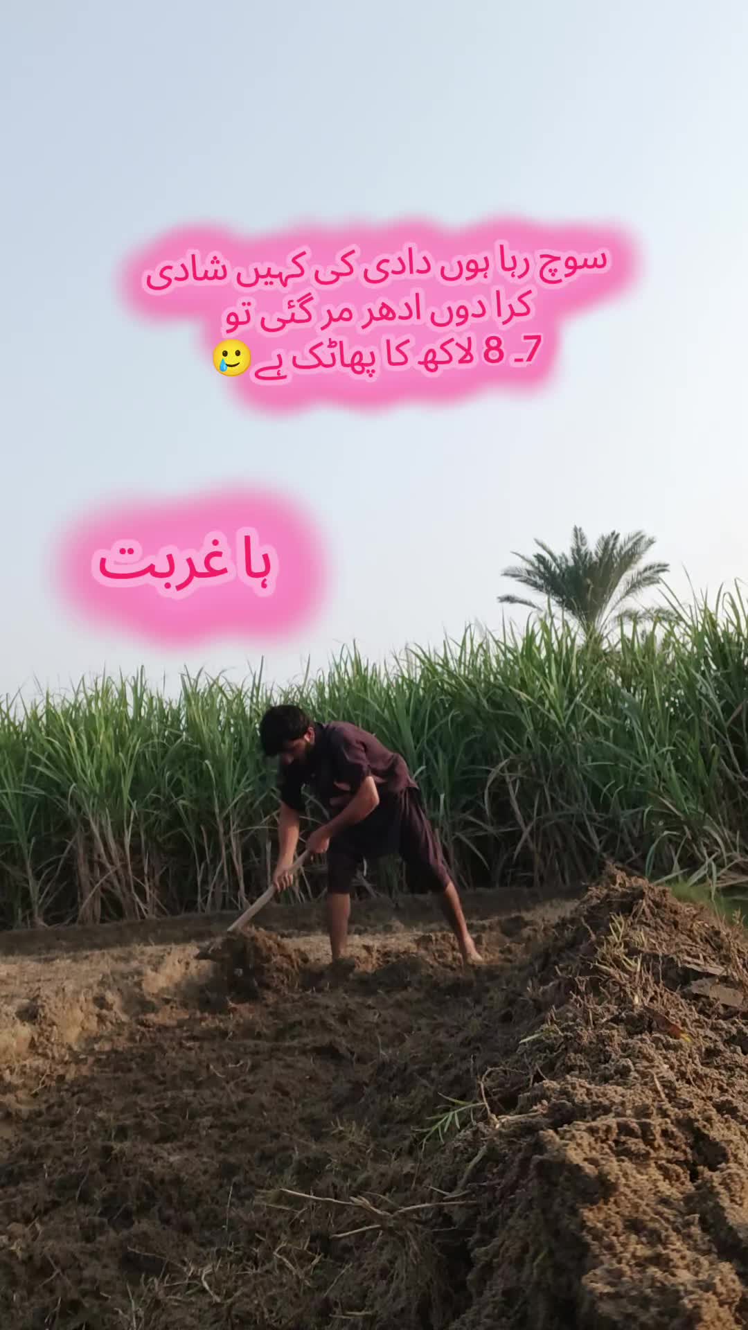 @گُڈو بادشاہ