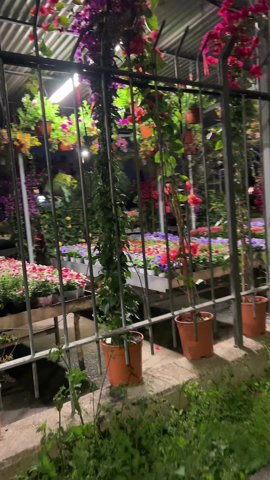 @vivaioanticogarden