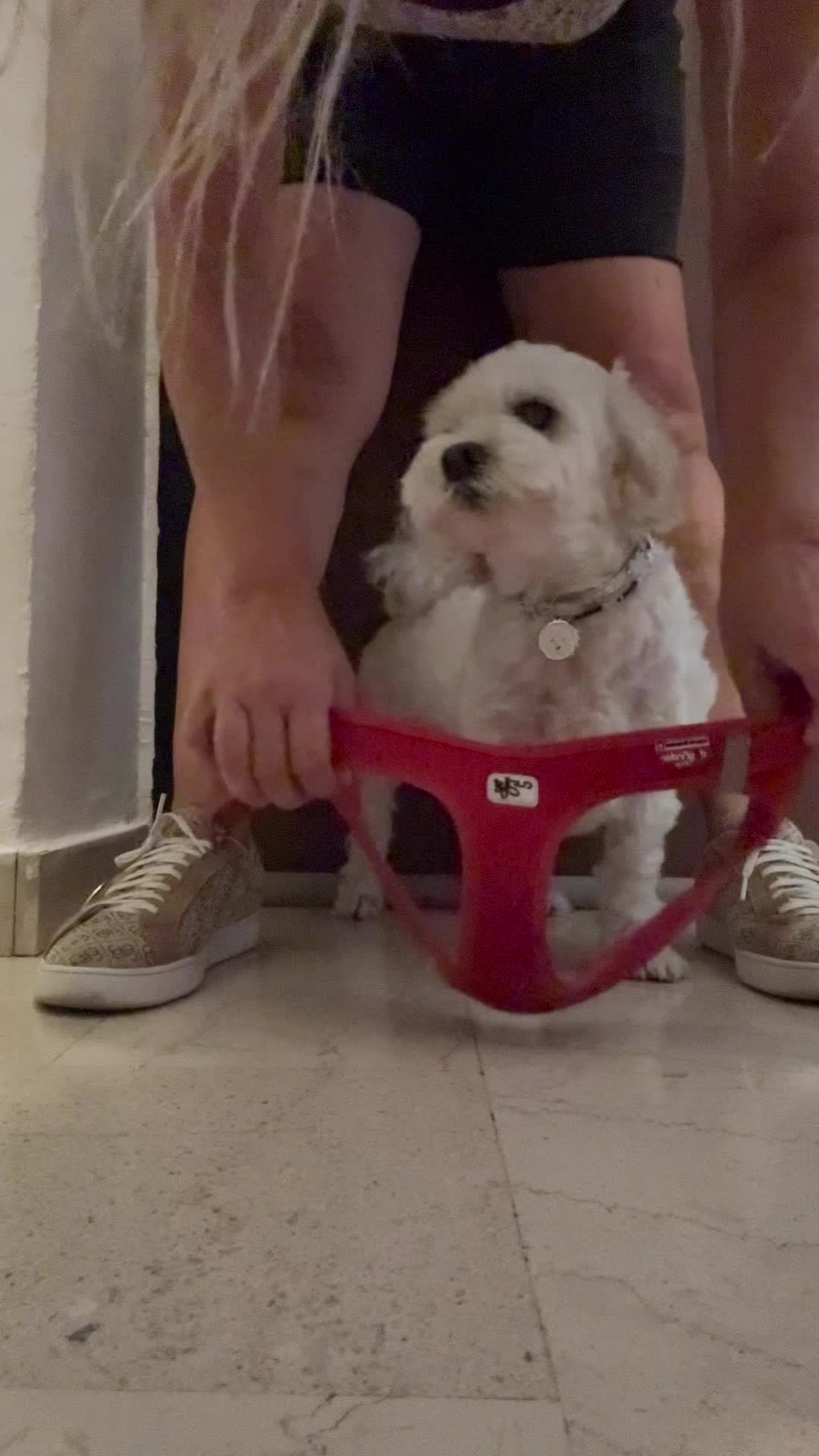 @Stella 🐾 Luki