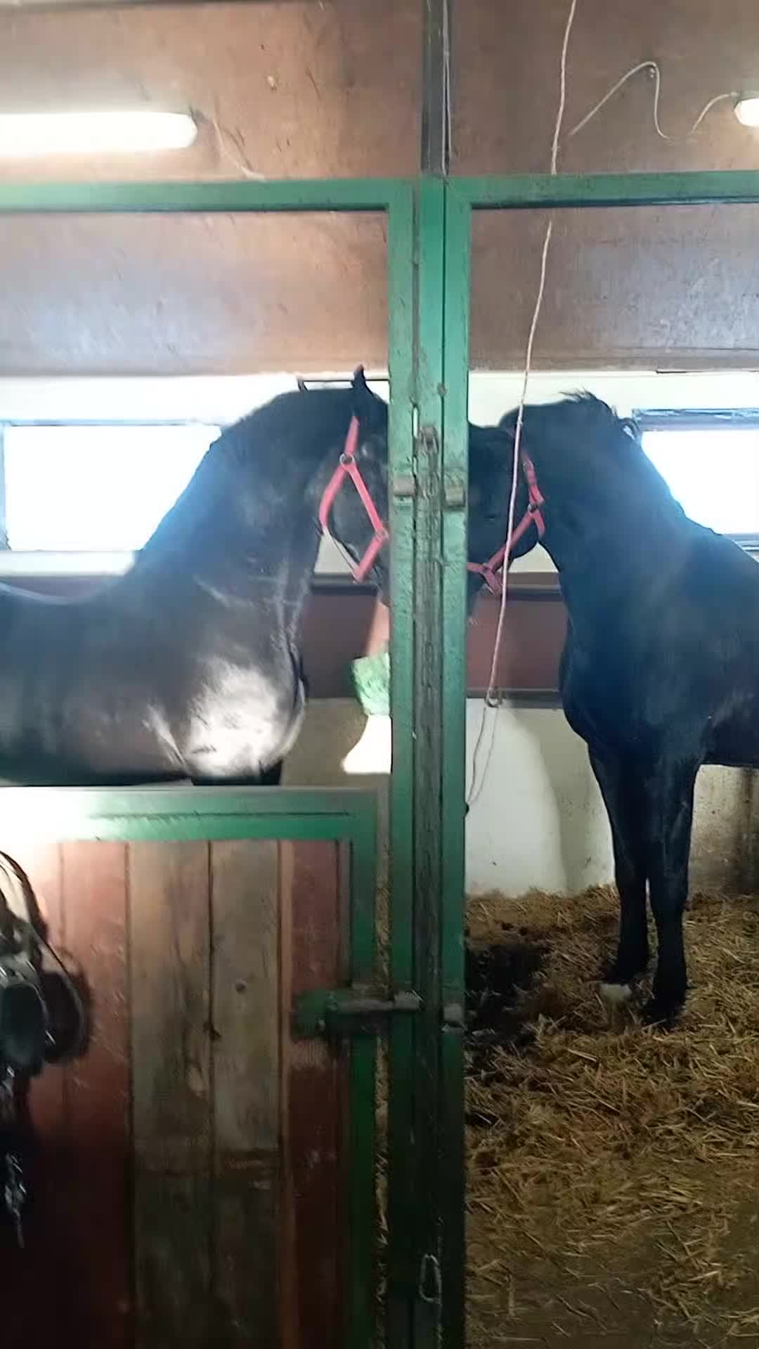 @G&aacute;bor