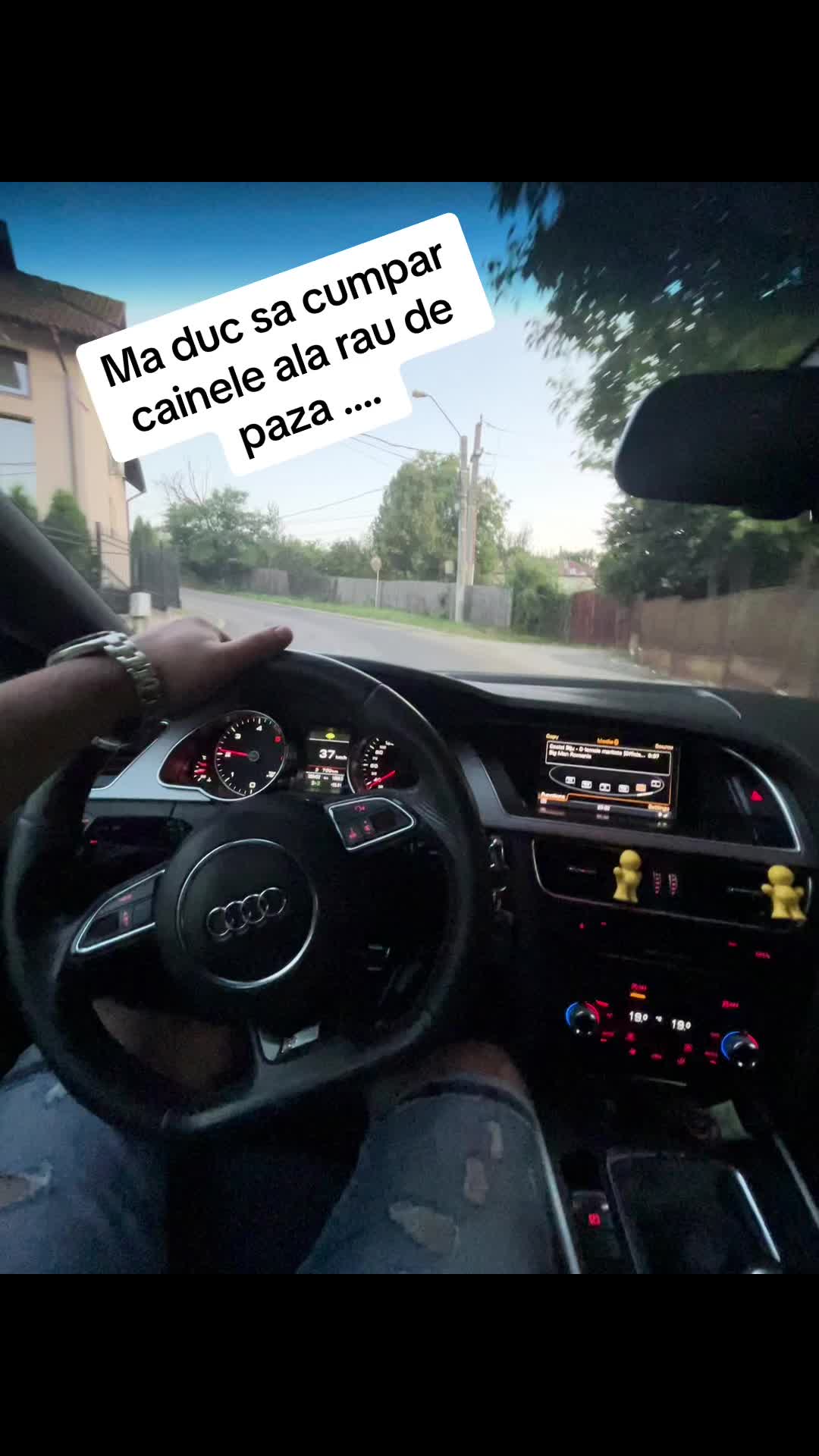 @Duțescu Ionuț