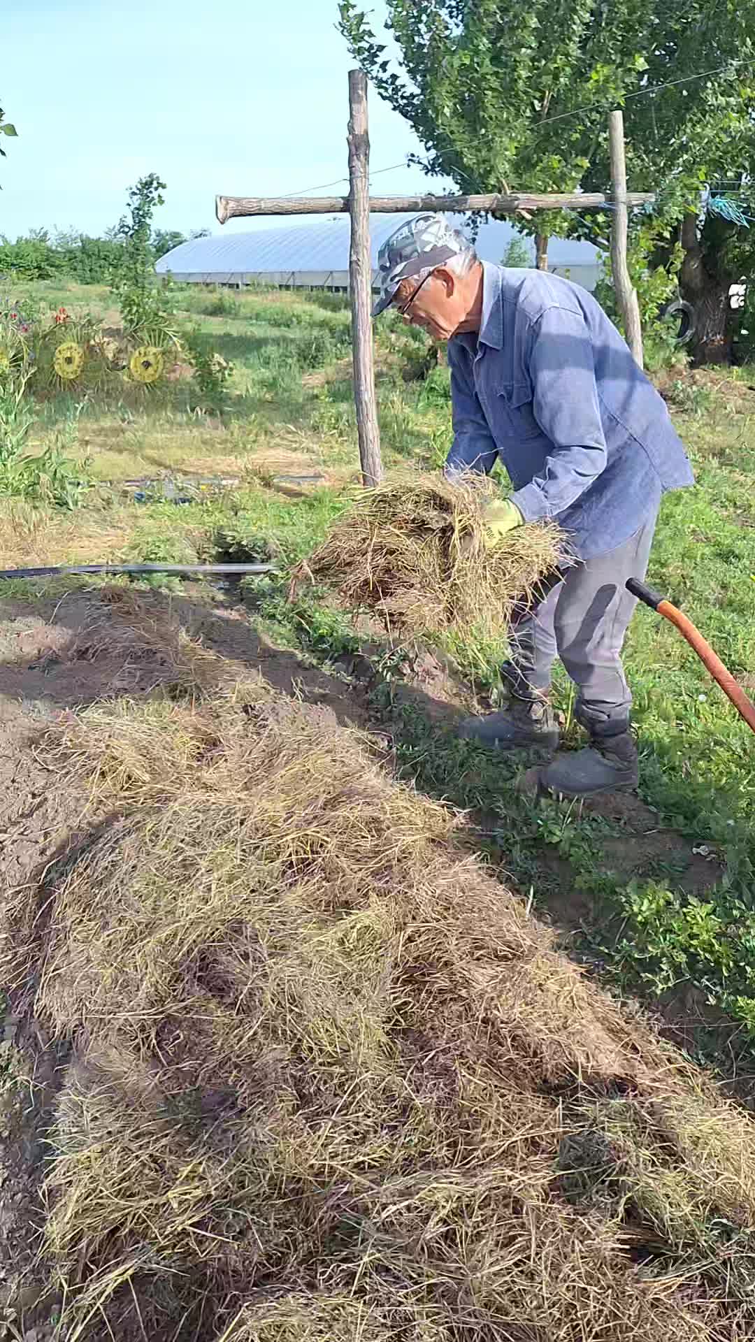 @Gradina Olteanului Enciu Doru