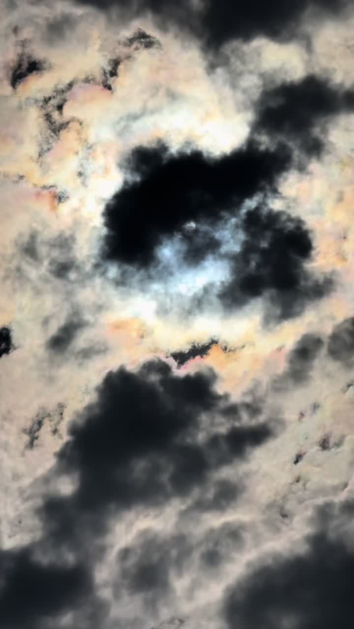 @🕊️سیّد زادہ 🫀