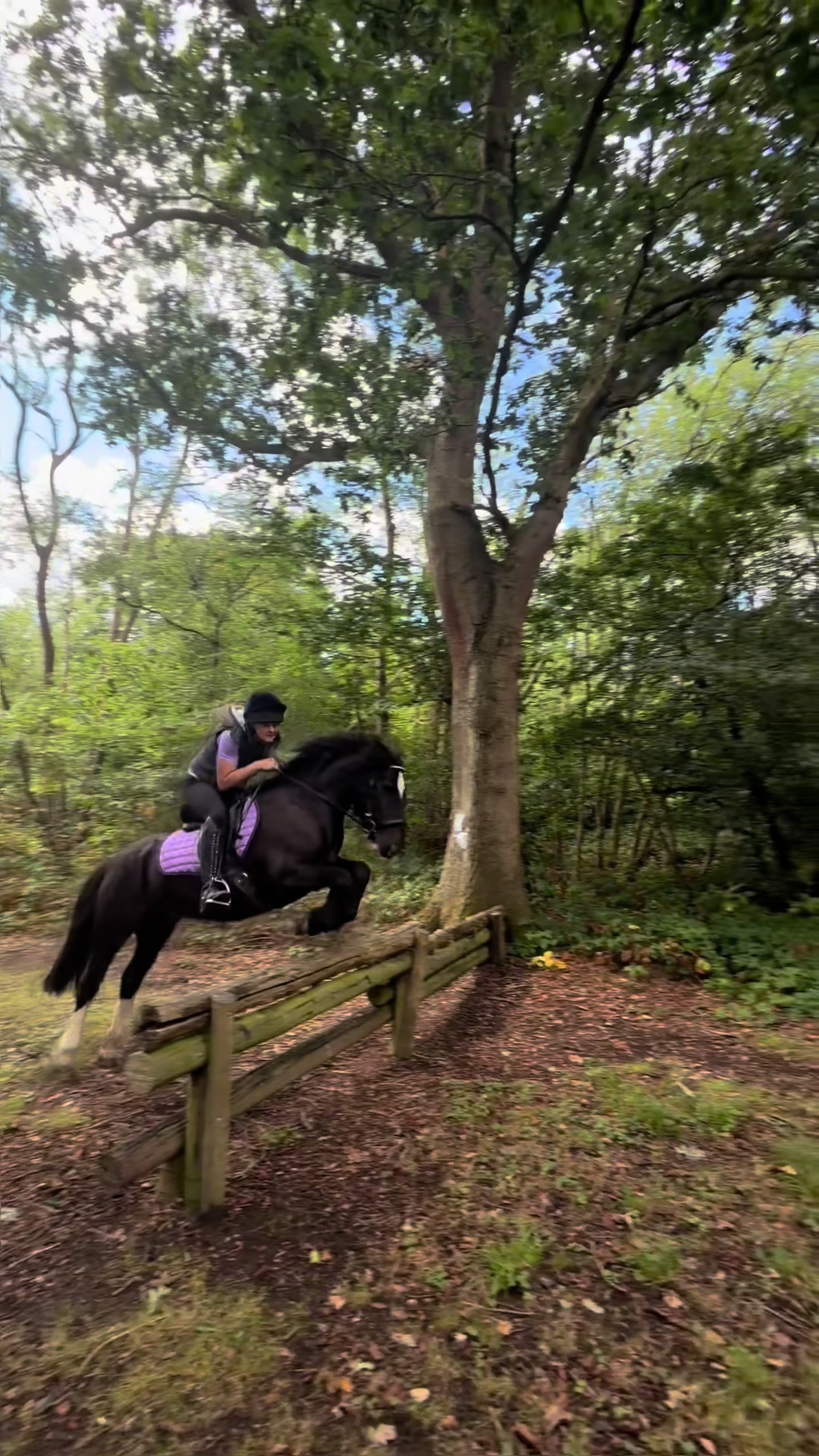 @Equ🐎:all the gear no idea🫶✌️