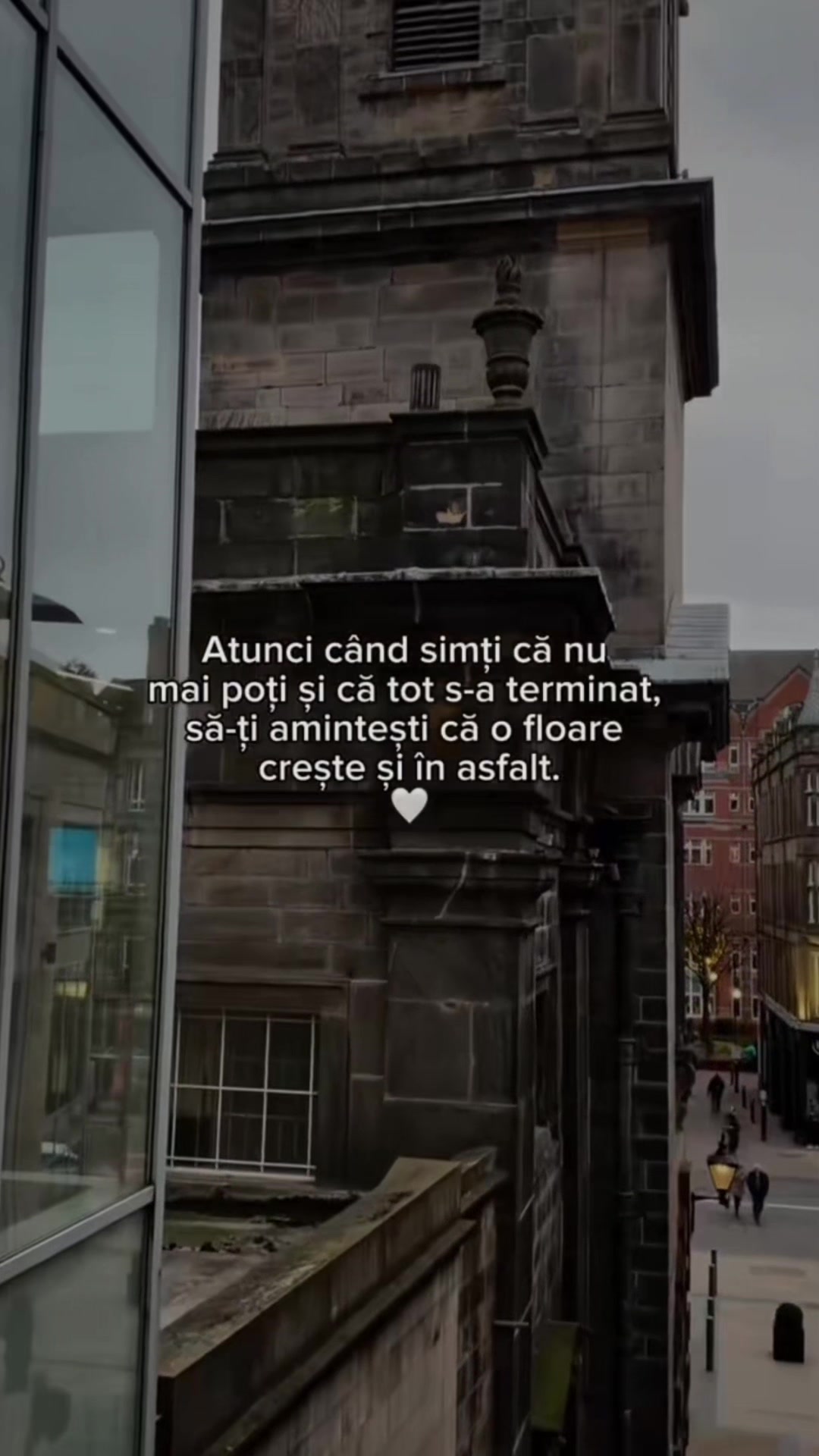 @deny _alina ❤️