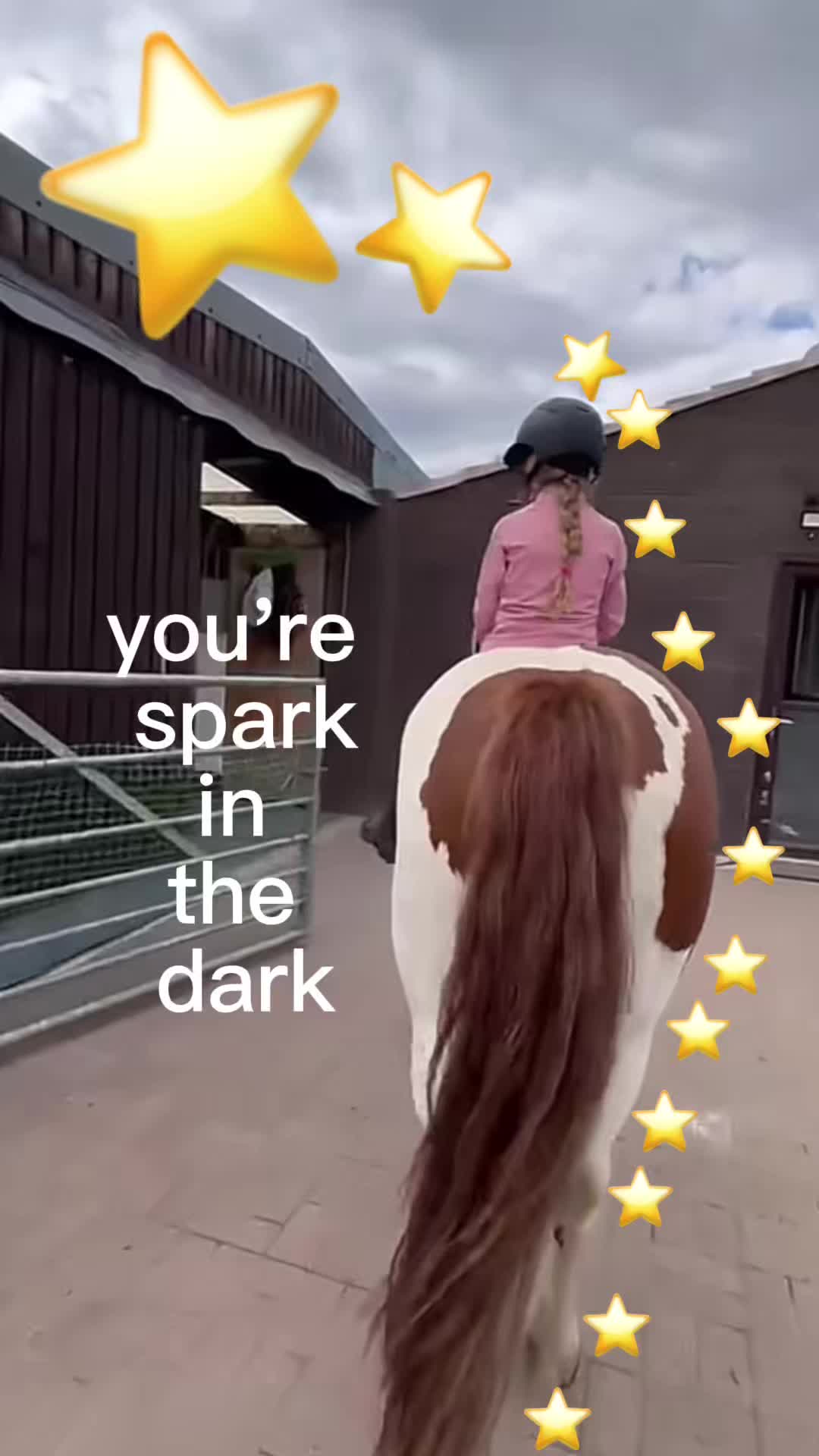 @LottiesHorseAdventures🦄🐴