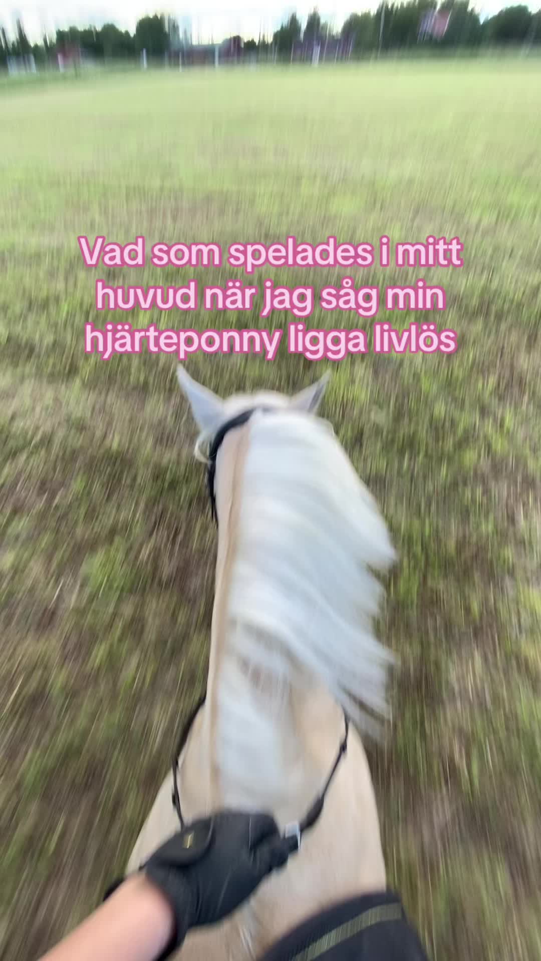 @Tuva Zettergren