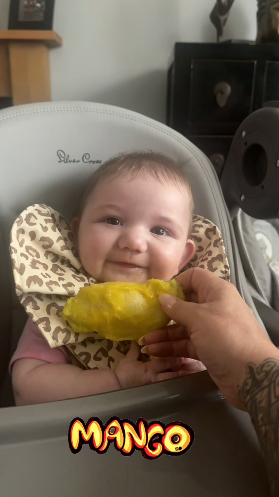 @barbellsandbumps